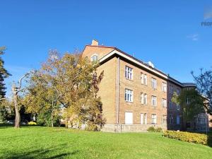 Prodej bytu 1+kk, Brno, Celní, 39 m2