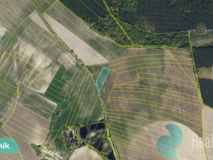 Prodej podílu 1/8 pole, Hlavečník, 3089 m2