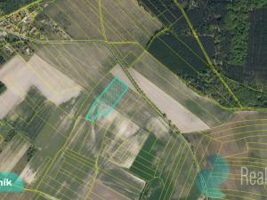 Prodej podílu 1/8 pole, Hlavečník, 3089 m2