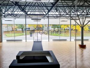 Pronájem obchodního prostoru, Praha, Za Mototechnou, 1462 m2