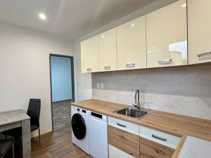 Pronájem bytu 1+1, Františkovy Lázně, Otakara Březiny, 37 m2