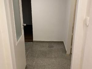 Pronájem bytu 1+kk, Praha - Vysočany, Freyova, 30 m2