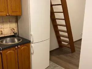 Pronájem bytu 1+kk, Praha - Vysočany, Freyova, 30 m2
