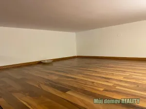 Pronájem bytu 1+kk, Praha - Vysočany, Freyova, 30 m2