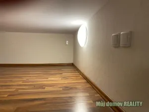 Pronájem bytu 1+kk, Praha - Vysočany, Freyova, 30 m2