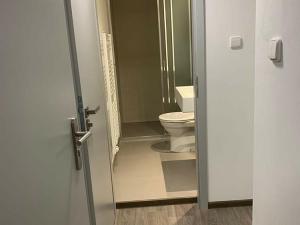 Pronájem bytu 1+kk, Praha - Strašnice, V Rybníčkách, 17 m2