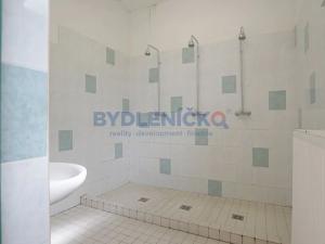 Prodej rodinného domu, Staré Hodějovice, Dolní, 2163 m2