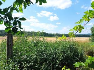 Prodej chalupy, Krty, 100 m2