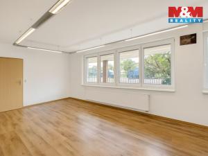 Prodej obchodního prostoru, Praha - Strašnice, Radošovická, 39 m2