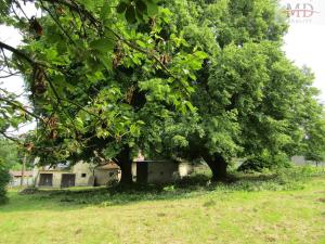 Prodej chalupy, Běšiny - Kozí, 270 m2