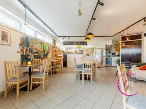 Prodej obchodního prostoru, Jihlava - Horní Kosov, Buková, 242 m2