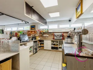 Prodej obchodního prostoru, Jihlava - Horní Kosov, Buková, 242 m2