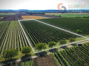 Prodej sadu/vinice, Březí, 15935 m2