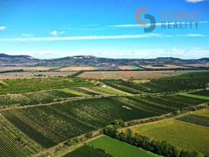 Prodej sadu/vinice, Březí, 15935 m2