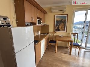 Pronájem bytu 1+kk, Ústí nad Labem - Ústí nad Labem-centrum, Velká Hradební, 44 m2