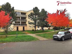 Prodej bytu 3+1, Žďár nad Sázavou, Haškova, 75 m2