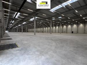 Pronájem výrobních prostor, Pardubice - Rosice, Salavcova, 7823 m2