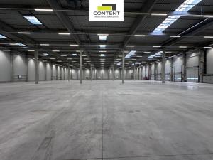 Pronájem výrobních prostor, Pardubice - Rosice, Salavcova, 7823 m2