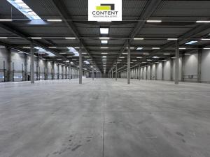 Pronájem výrobních prostor, Pardubice - Rosice, Salavcova, 7823 m2