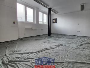 Pronájem skladu, České Budějovice, Rudolfovská tř., 216 m2