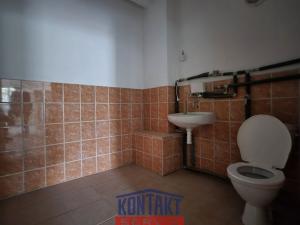 Pronájem skladu, České Budějovice, Rudolfovská tř., 216 m2