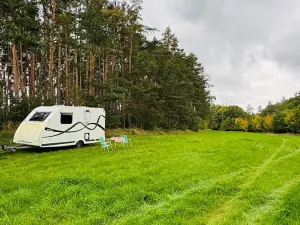 Prodej louky, Nečín, 27616 m2