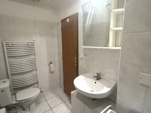 Pronájem bytu 1+kk, Plzeň - Severní Předměstí, Sedlecká, 32 m2