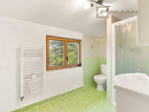 Prodej rodinného domu, Stružnice - Jezvé, 177 m2