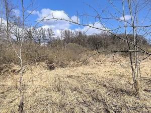 Prodej pole, Františkovy Lázně, 7083 m2