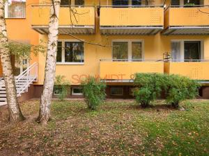 Prodej bytu 2+1, Brno, Černého, 58 m2