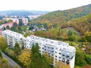 Prodej bytu 2+1, Brno, Černého, 58 m2