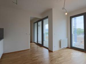 Pronájem bytu 2+kk, Praha - Karlín, Breitfeldova, 46 m2