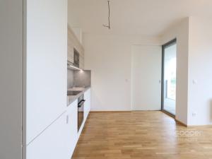 Pronájem bytu 2+kk, Praha - Karlín, Breitfeldova, 46 m2
