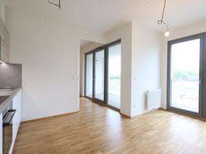 Pronájem bytu 2+kk, Praha - Karlín, Breitfeldova, 46 m2