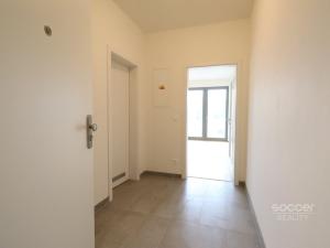 Pronájem bytu 2+kk, Praha - Karlín, Breitfeldova, 46 m2