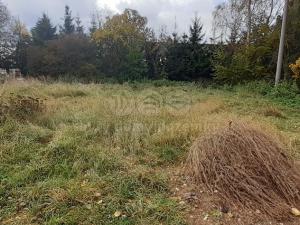 Prodej pozemku pro bydlení, Jiříkov - Nový Jiříkov, 502 m2