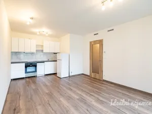 Pronájem bytu 1+kk, Praha - Vysočany, Kolbenova, 33 m2