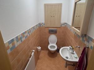 Prodej rodinného domu, Mariánské Lázně, Hamrníky, 334 m2