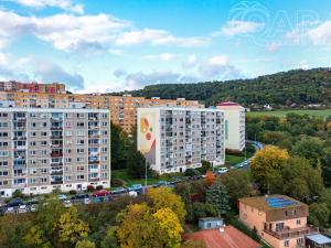 Pronájem bytu 2+kk, Ústí nad Labem - Severní Terasa, Rabasova, 42 m2