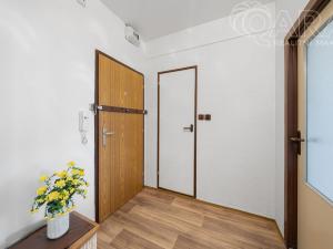 Pronájem bytu 2+kk, Ústí nad Labem - Severní Terasa, Rabasova, 42 m2