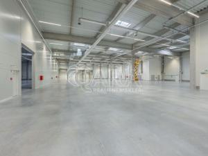 Pronájem skladu, Divišov, 2922 m2