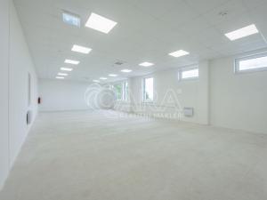 Pronájem skladu, Divišov, 2922 m2