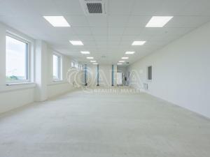 Pronájem skladu, Divišov, 2922 m2