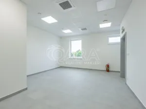 Pronájem skladu, Divišov, 2922 m2