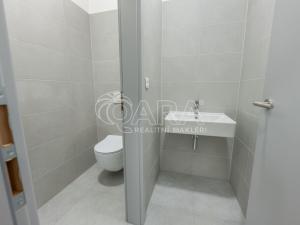 Pronájem skladu, Divišov, 2704 m2