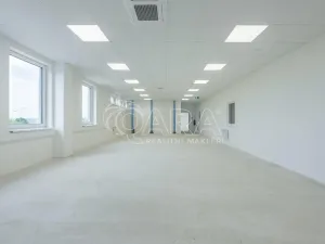 Pronájem skladu, Divišov, 2704 m2