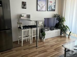 Pronájem bytu 2+kk, České Budějovice, Volejbalistů, 45 m2