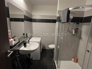 Pronájem bytu 2+kk, České Budějovice, Volejbalistů, 45 m2
