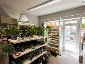 Prodej rodinného domu, Litvínov - Horní Litvínov, Rooseveltova, 277 m2