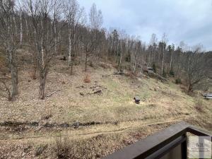 Pronájem bytu 1+1, Nejdek, Rolavská, 35 m2